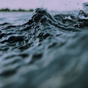 Meet your Posher, Kyra